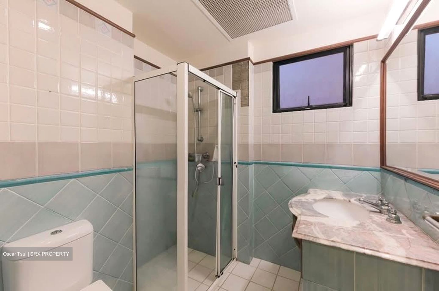Dover Parkview (D5), Condominium #614439541